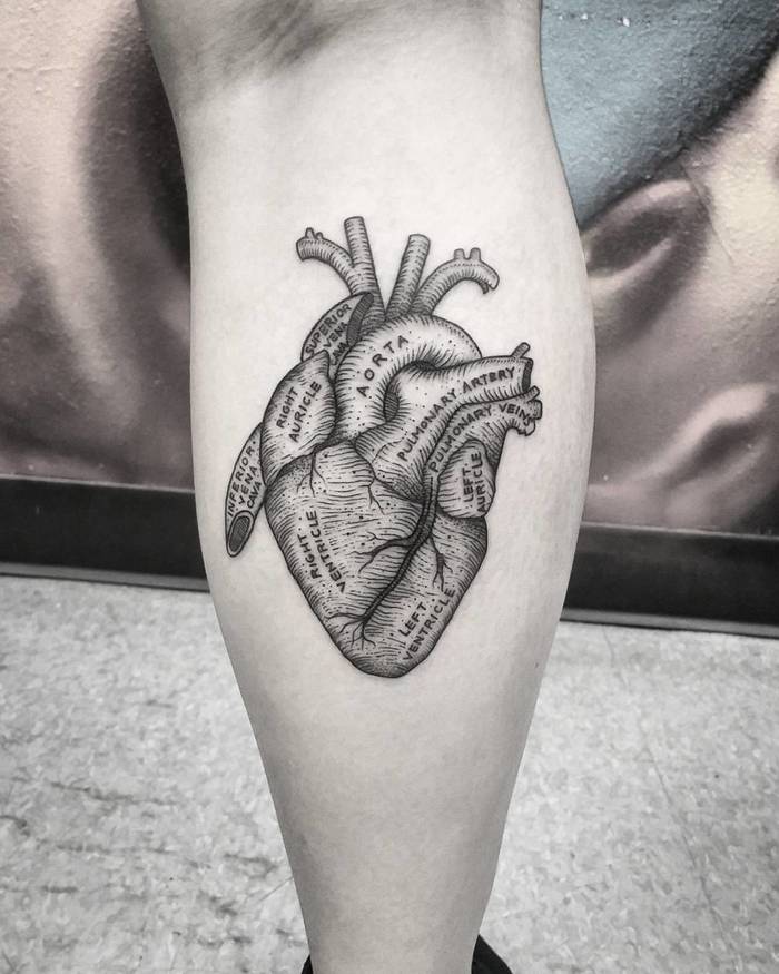 Anatomical Heart Tattoo on Calf by thomasetattoos