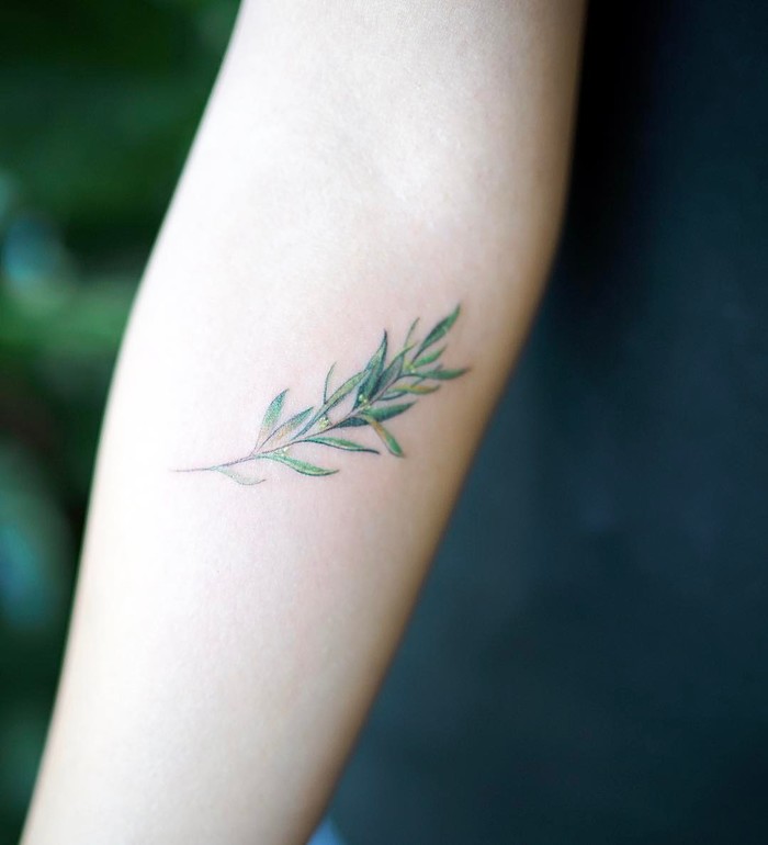 Delicate Green Olive Branch Tattoo by nandotattooer