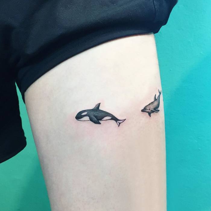 Tiny Killer Whale and Dolphin by tattooist_ida