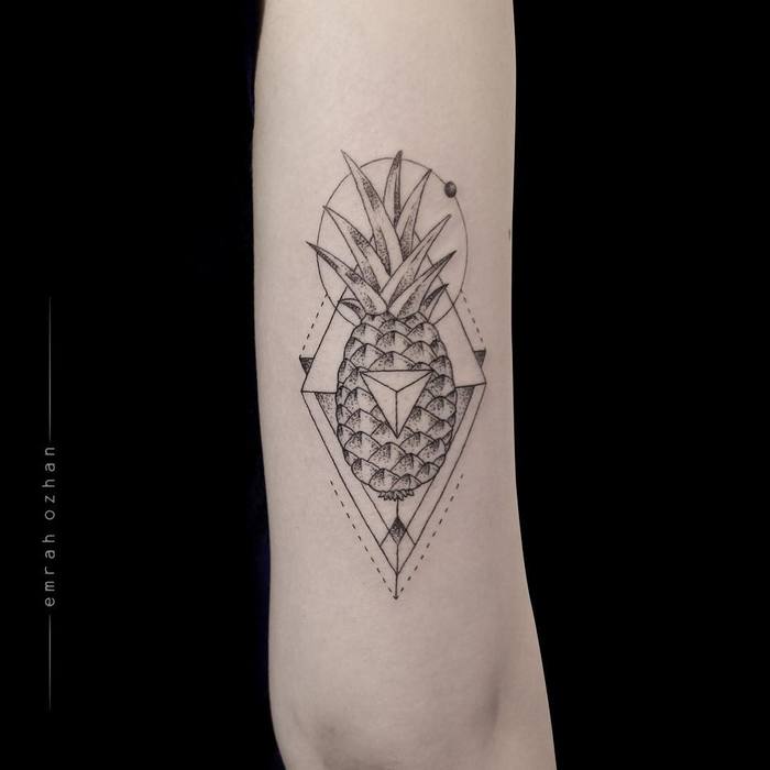 Pineapple and Geometric Elements by emrahozhan