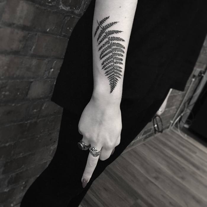 Fern Tattoo by barrymckenna_tattoo