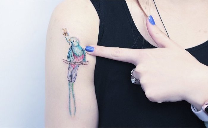 Brilliant Quetzal Bird Tattoo on Bicep 