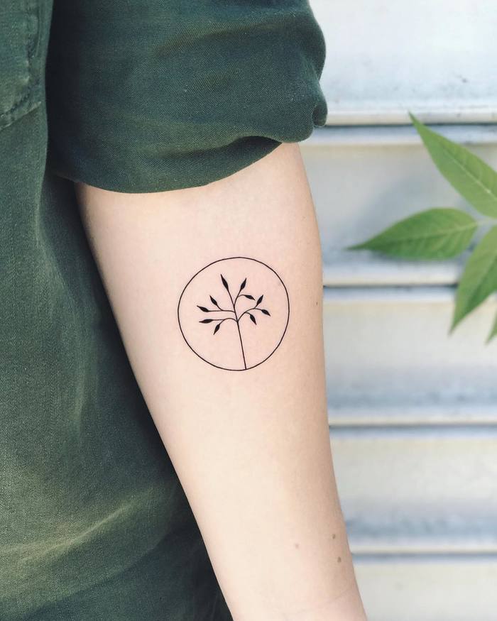 Minimalist Branch Tattoo in a Circle by nothingwildtattoo